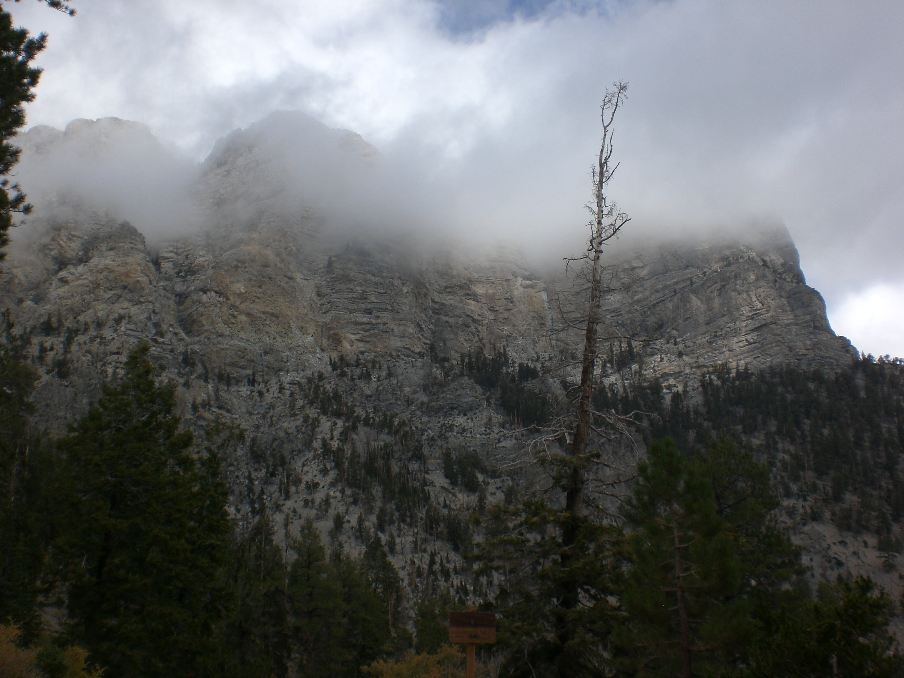 Mummy Mountain Looms None