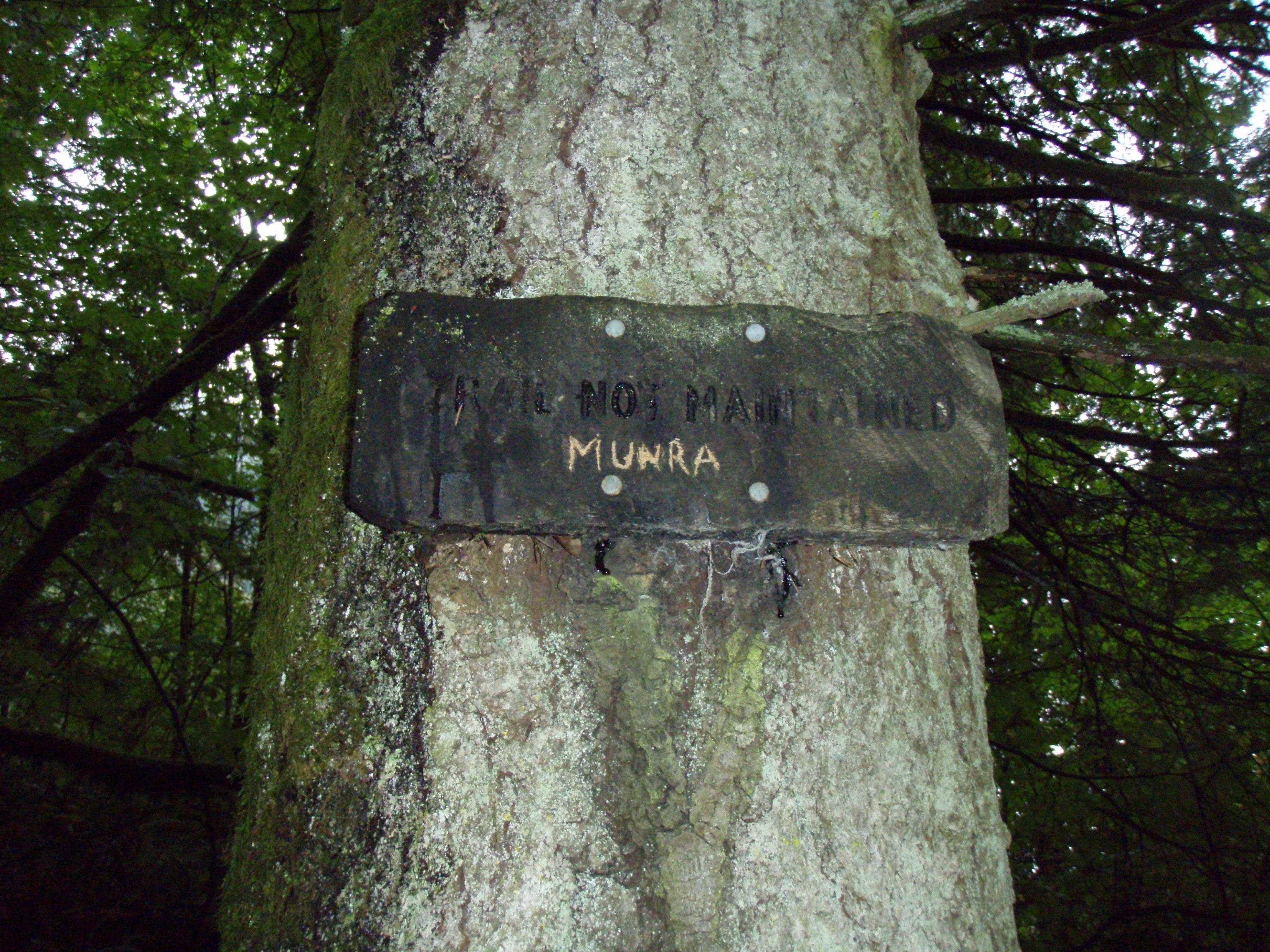 Munra Point Trail None