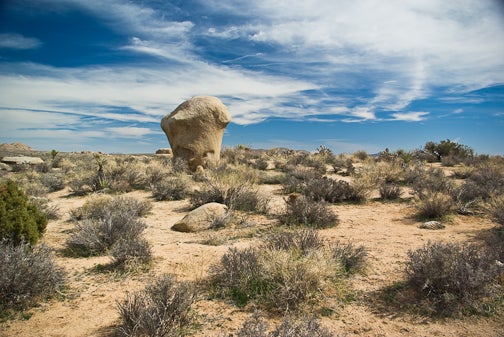 Mushroom rock None