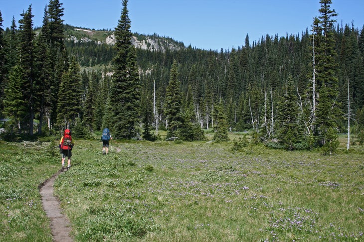 Mount Rainier National Park: Northern Loop Trail via Sunrise Park