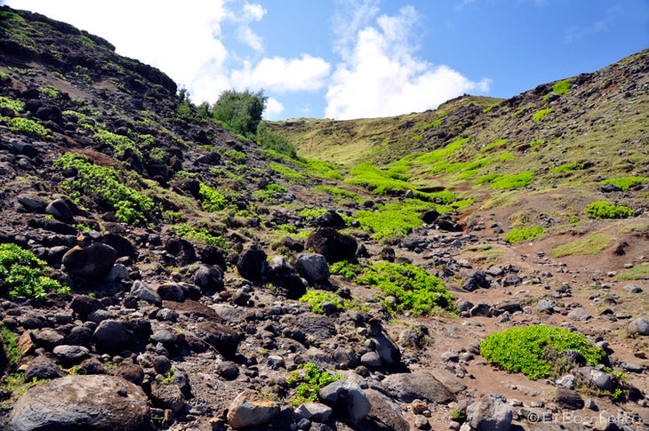 Nakalele Trail None