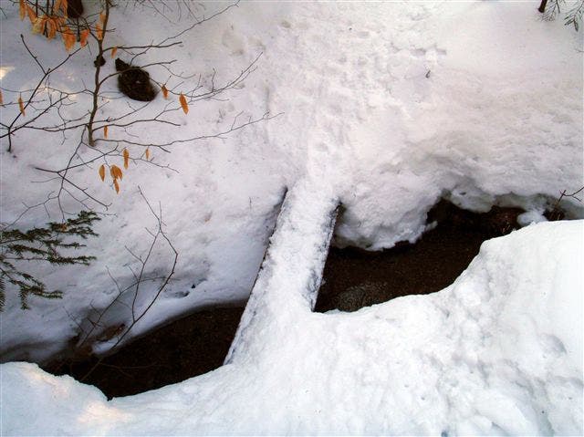 Narrow Log Bridge None