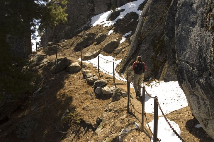 Narrow Trail None