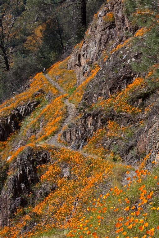 Narrow Trail cuts Sheer Cliff None