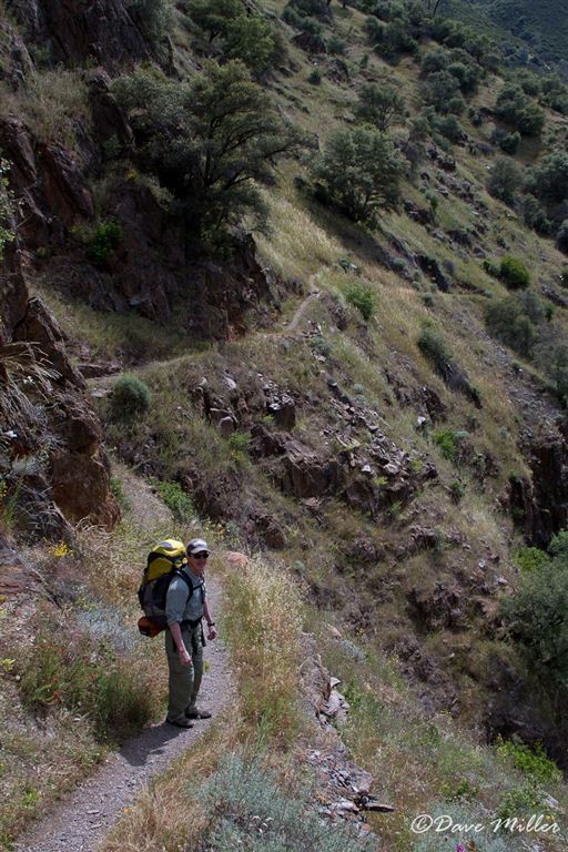 Narrow Trail None