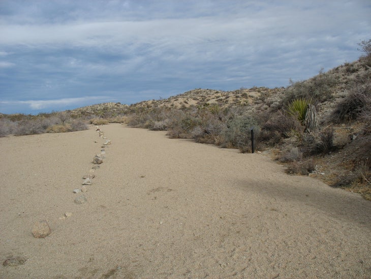 Nature Trail None