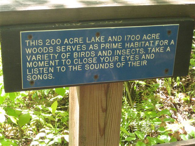 Nature None