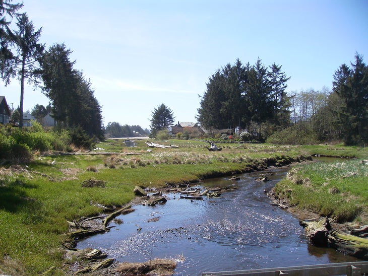 Neacoxie Creek None