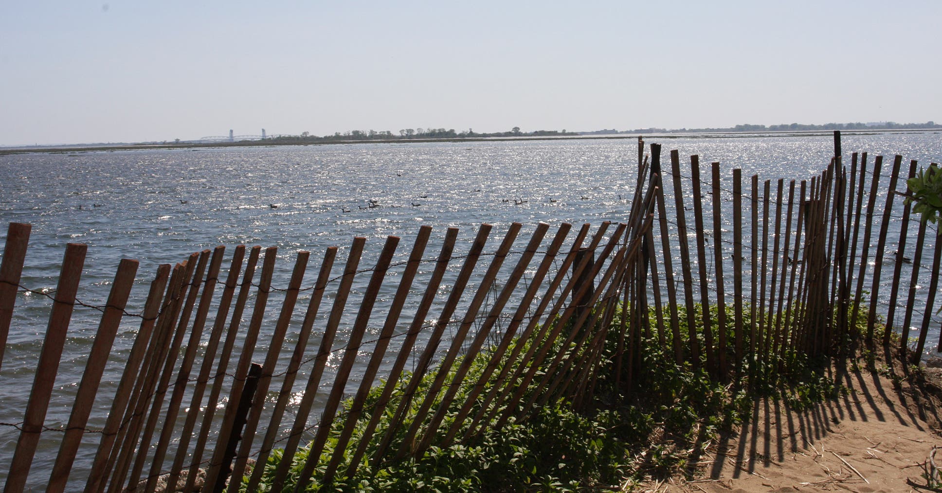 Near terrapin nesting grounds None