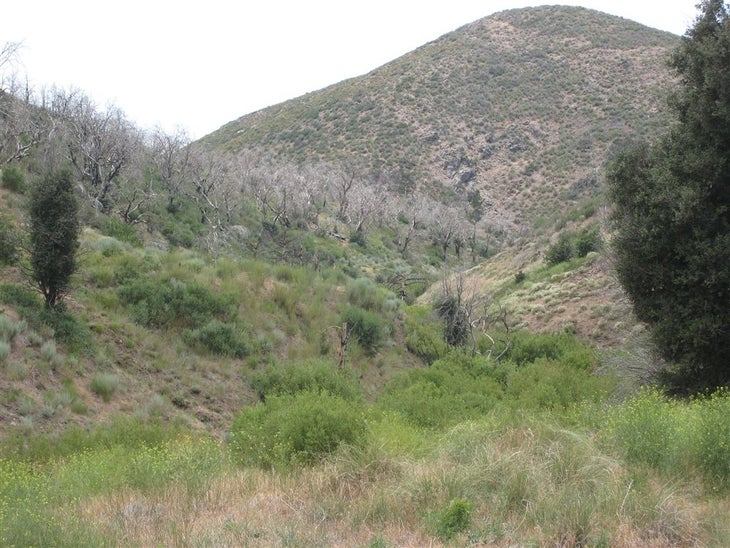 Near the creek None