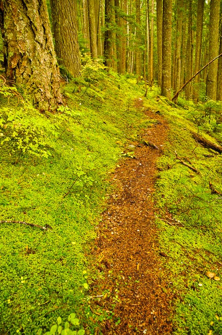 Nearing Brush Creek None