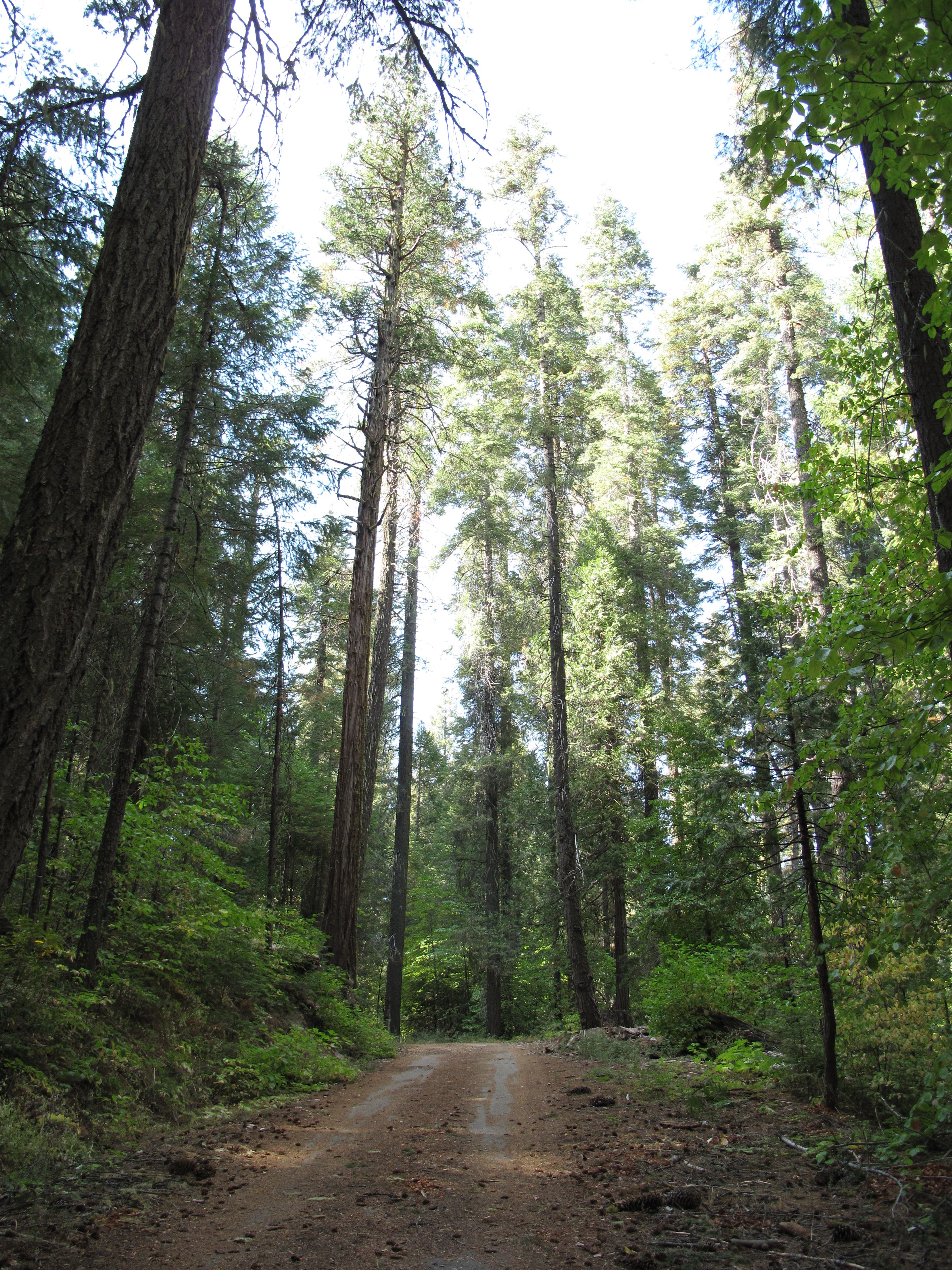 Nearing Hodgdon Meadow None