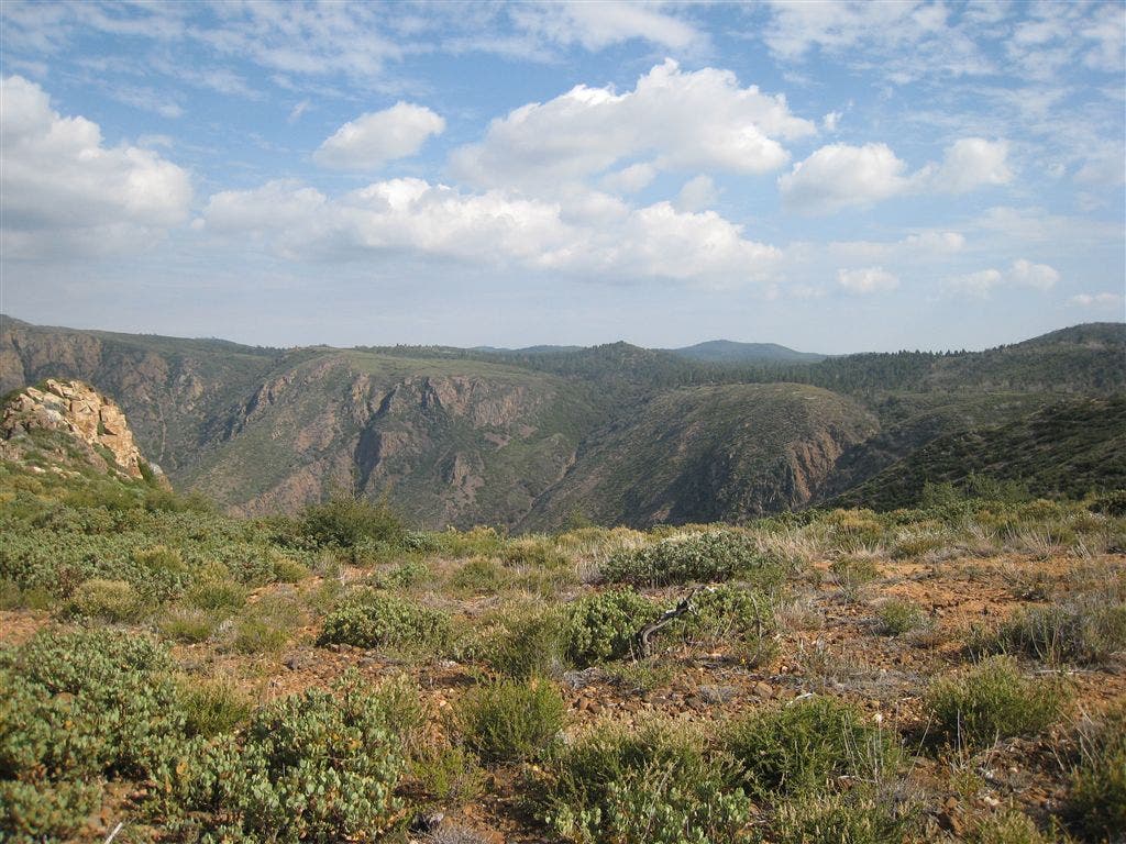 Nearing Oasis Spring None