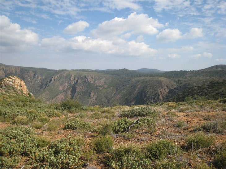 Nearing Oasis Spring None