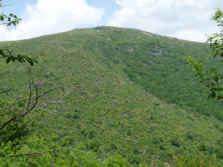 Nearing The Top None