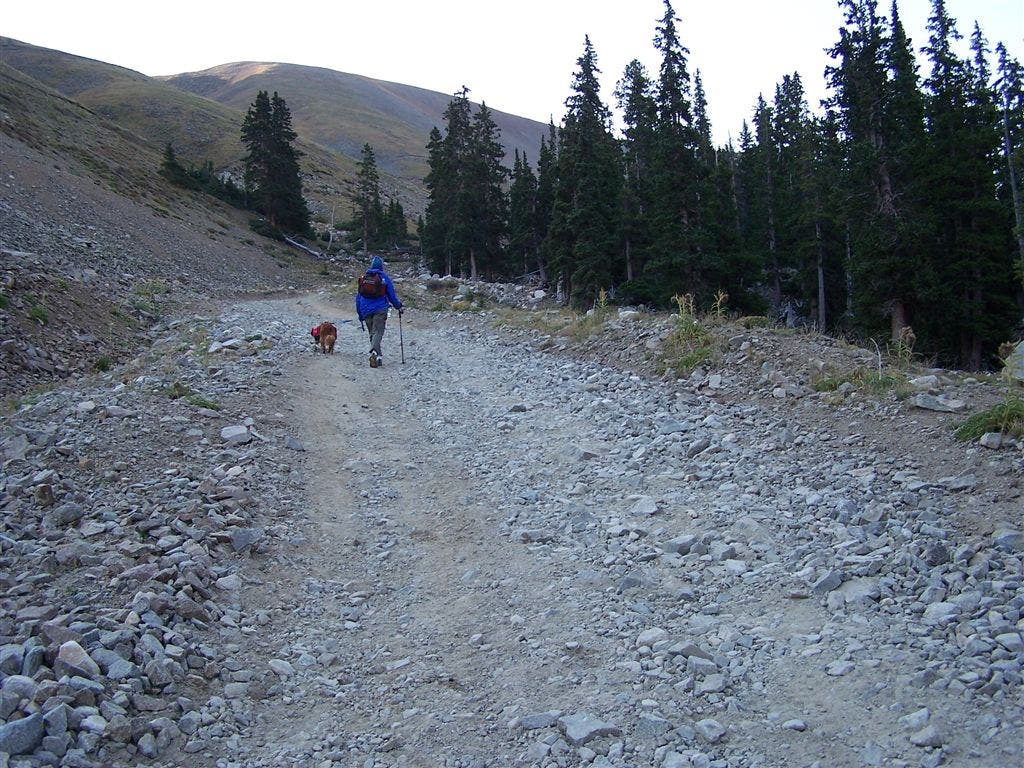 Nearing treeline None