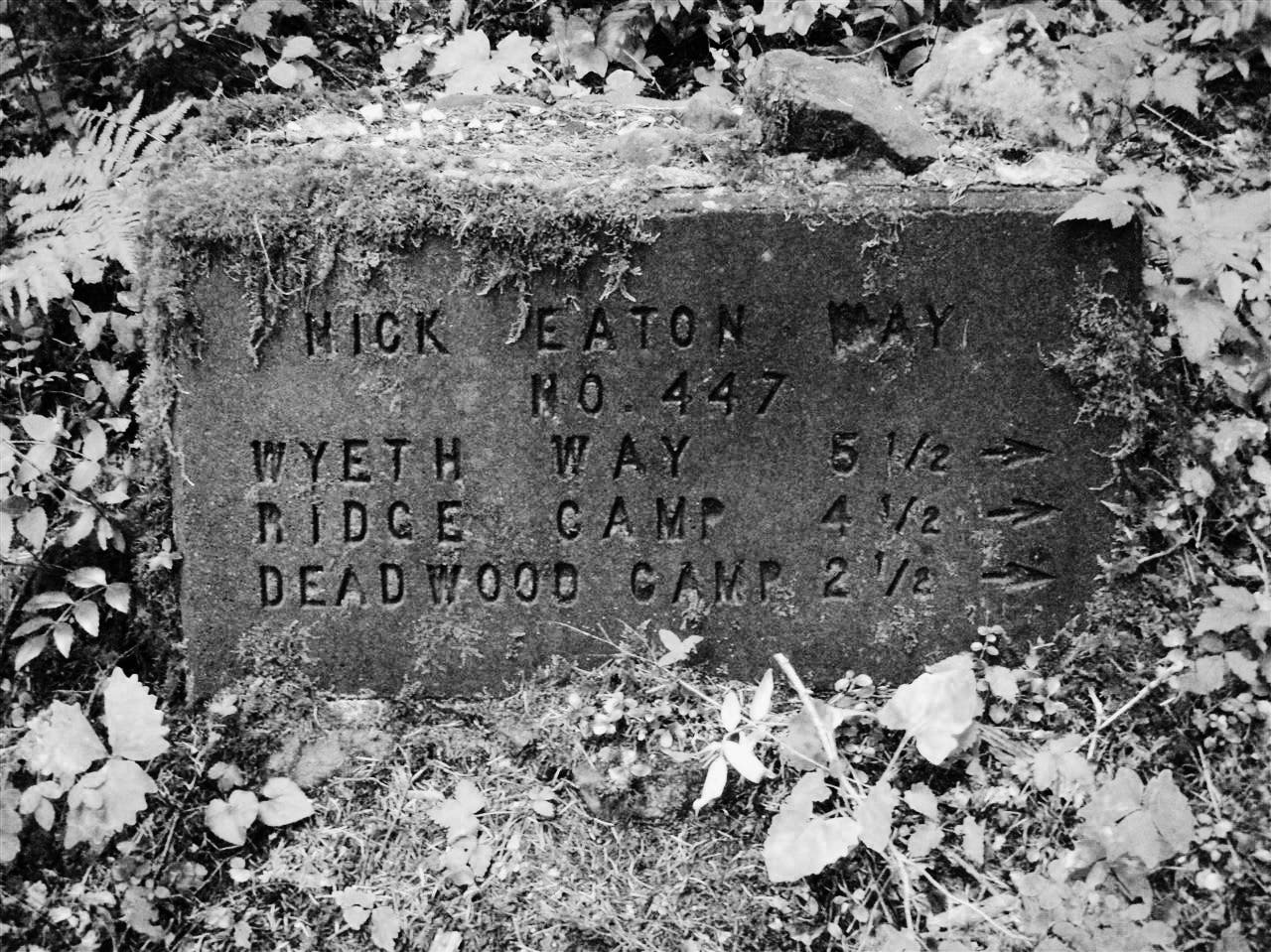 Nick Easton Rock Sign None