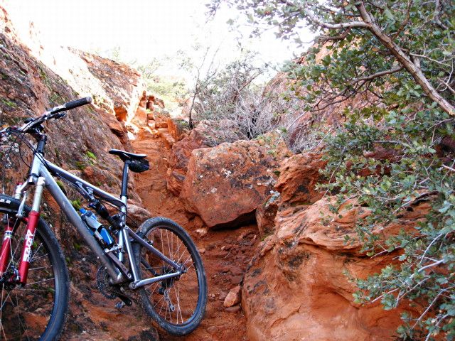 No Bikes None