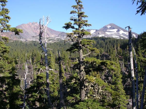 North and Middle Sister None