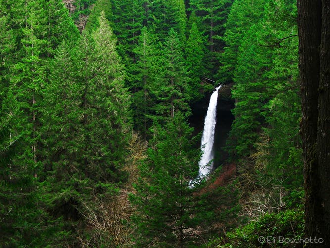 North Falls View None