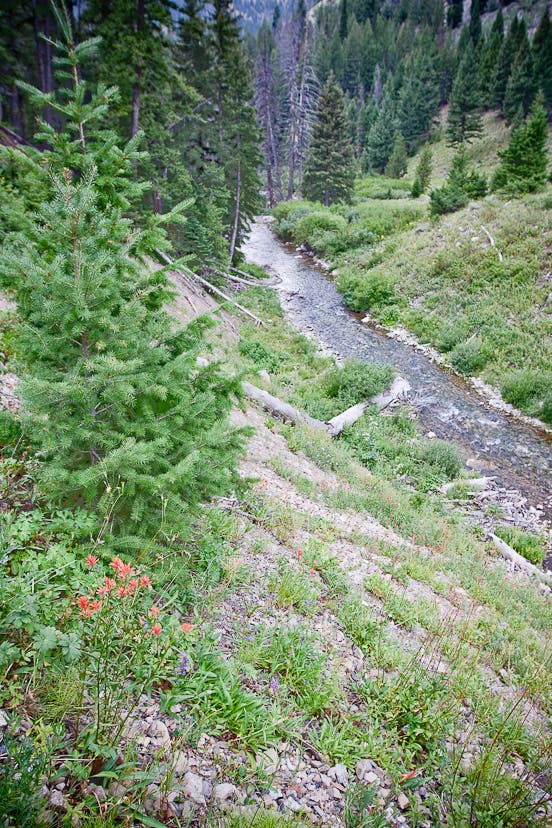 North Fork of the Big Wood River None