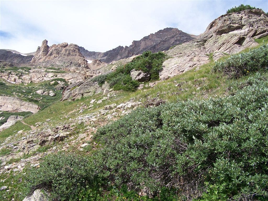 North Halfmoon Creek Drainage None