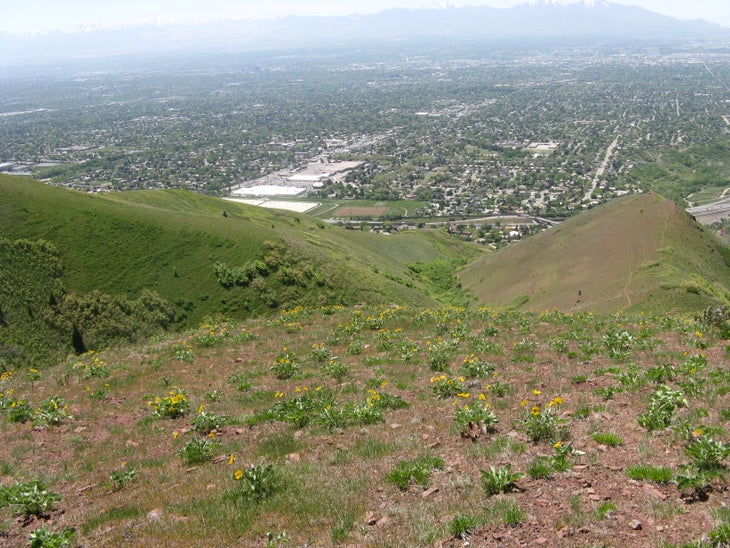 North Trail: Descent None