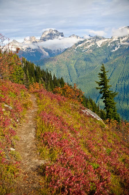 A dirt trail meanders through green and red brush and offers views of snow-covered peaks in the distance. 