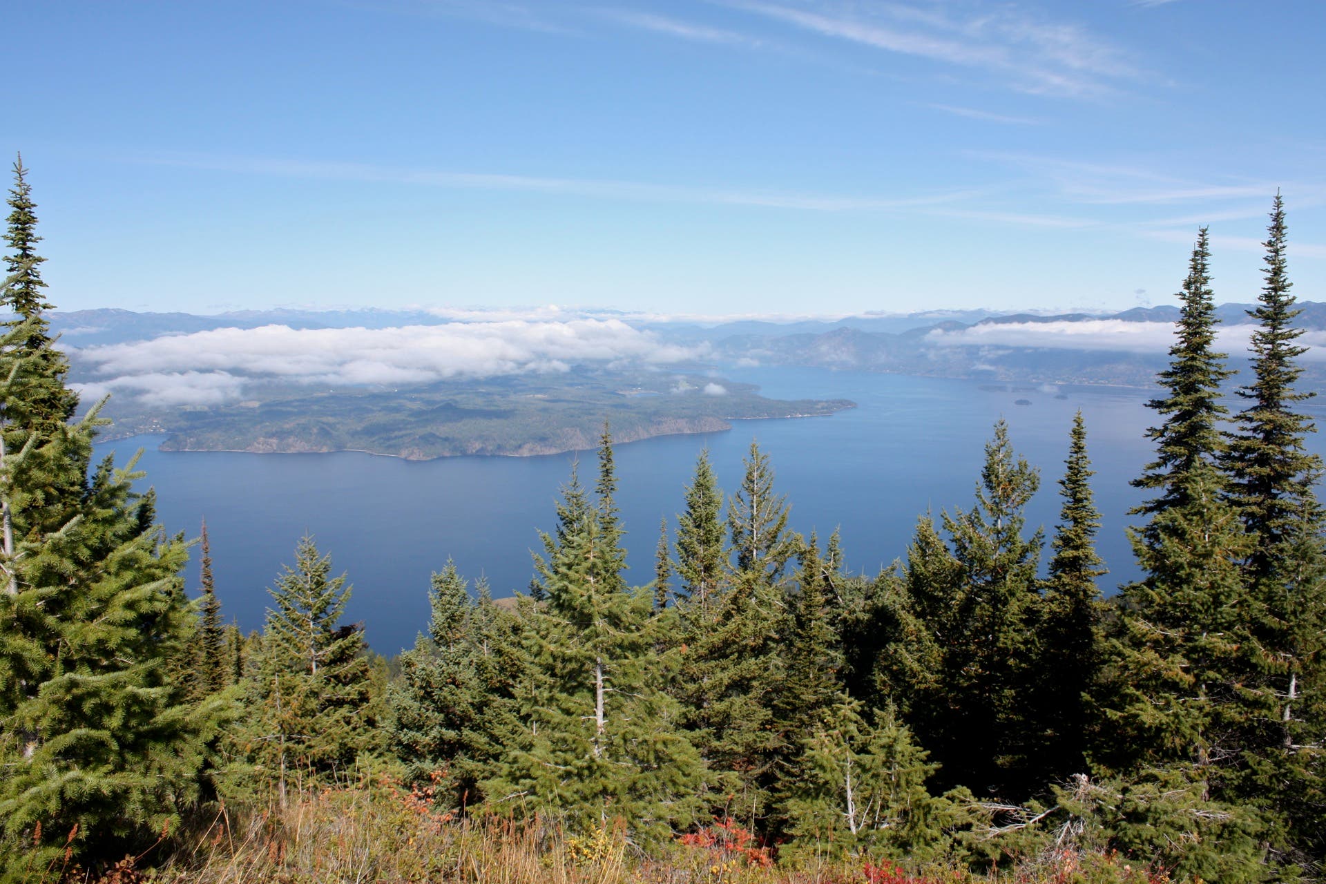 Northern Panorama None