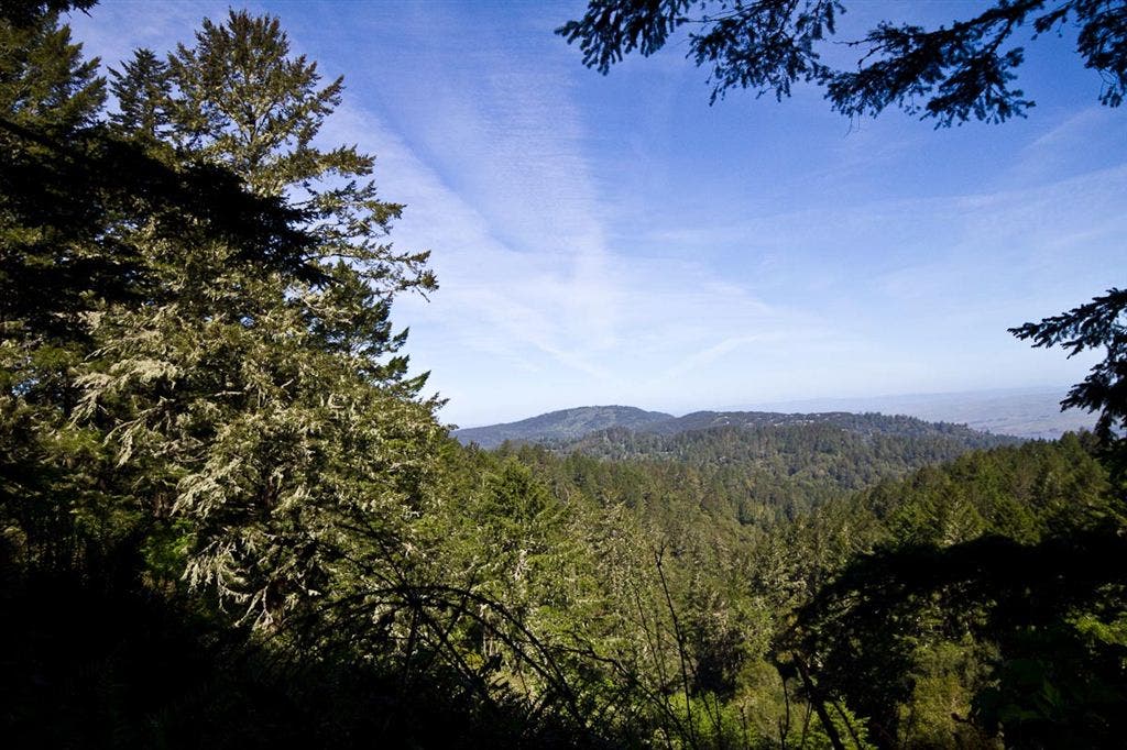 Northern View from Horse Trail None