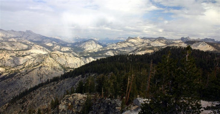 Northern View None