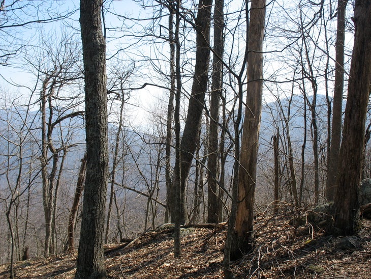 Northern Views None