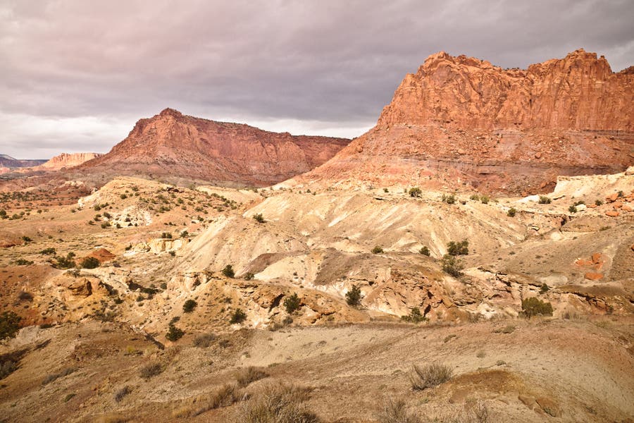 Northwest Views None