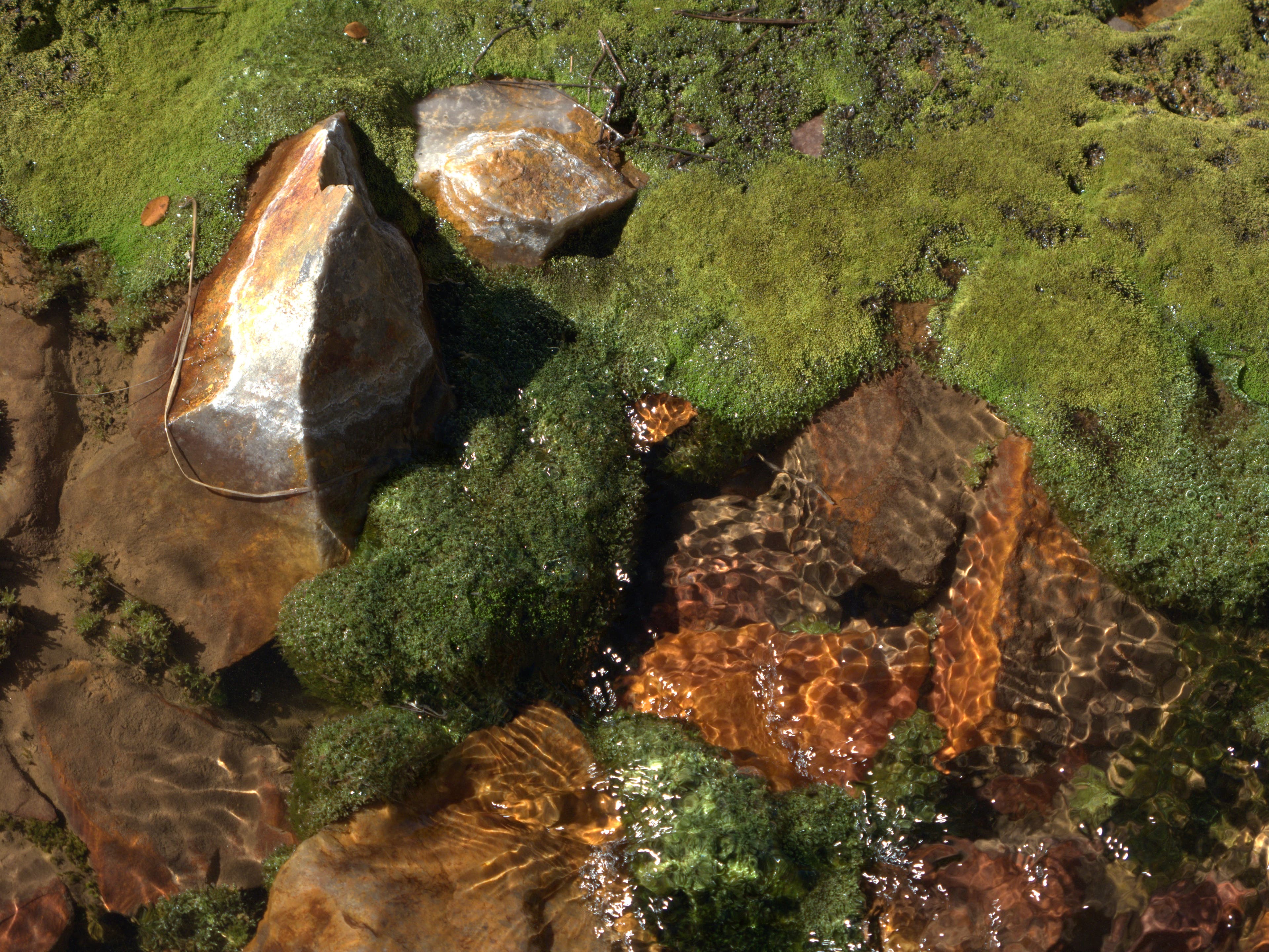 The nutrient rich water of Elk Creek grows algae on the hike from Stony Pass to Celebration Lake. Moss-covered rocks in Elk Creek just outside Stony Pass.