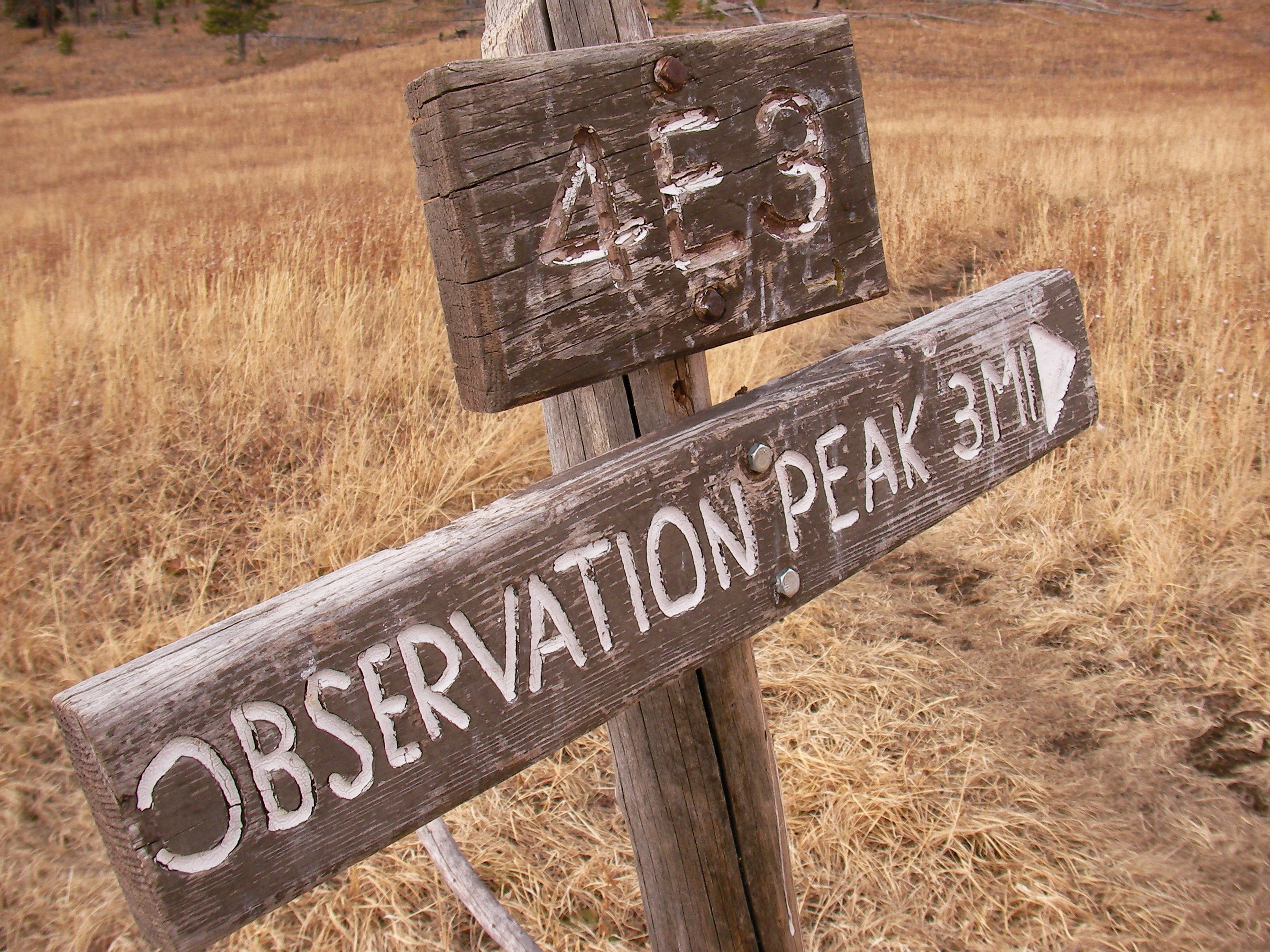 Yellowstone National Park Observation Peak