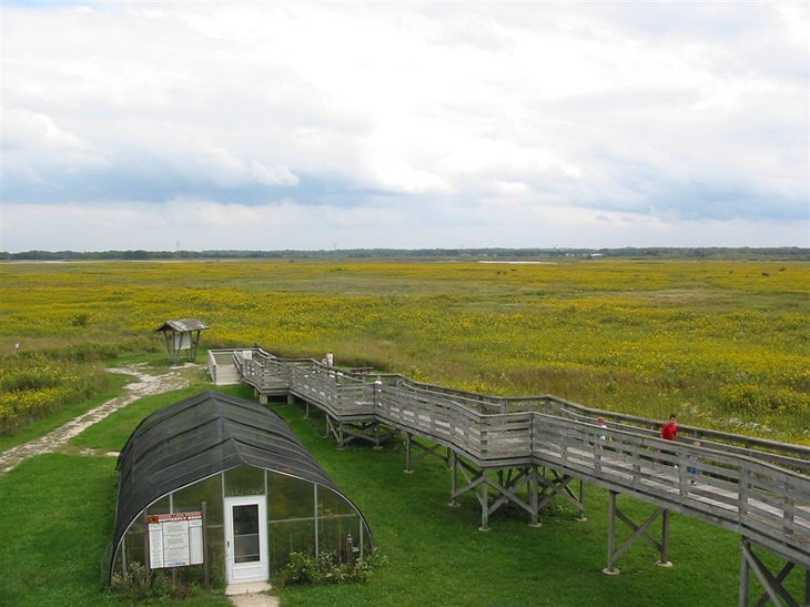 Observation Platform None