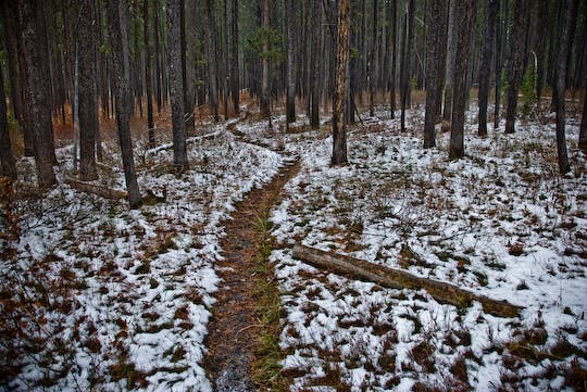 October in Yellowstone None
