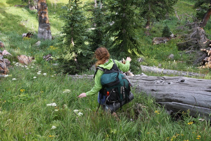 Off Trail None