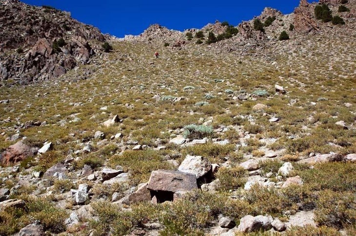 Off-trail None
