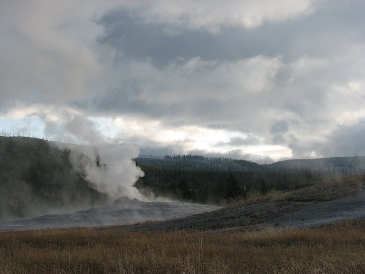 Old Faithful None
