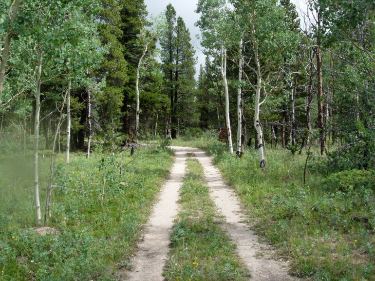 Old Road None