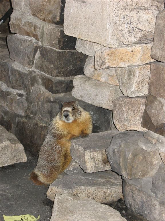 One of the locals None