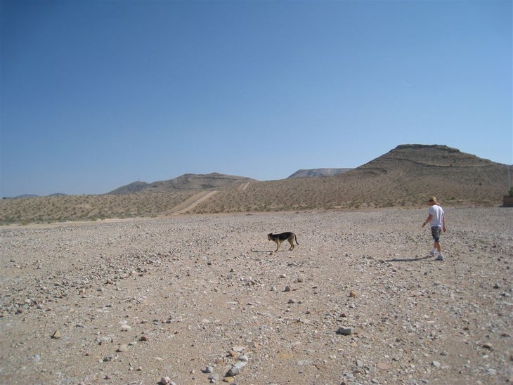 Open Desert None