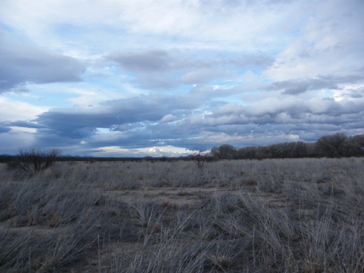 Open Field None