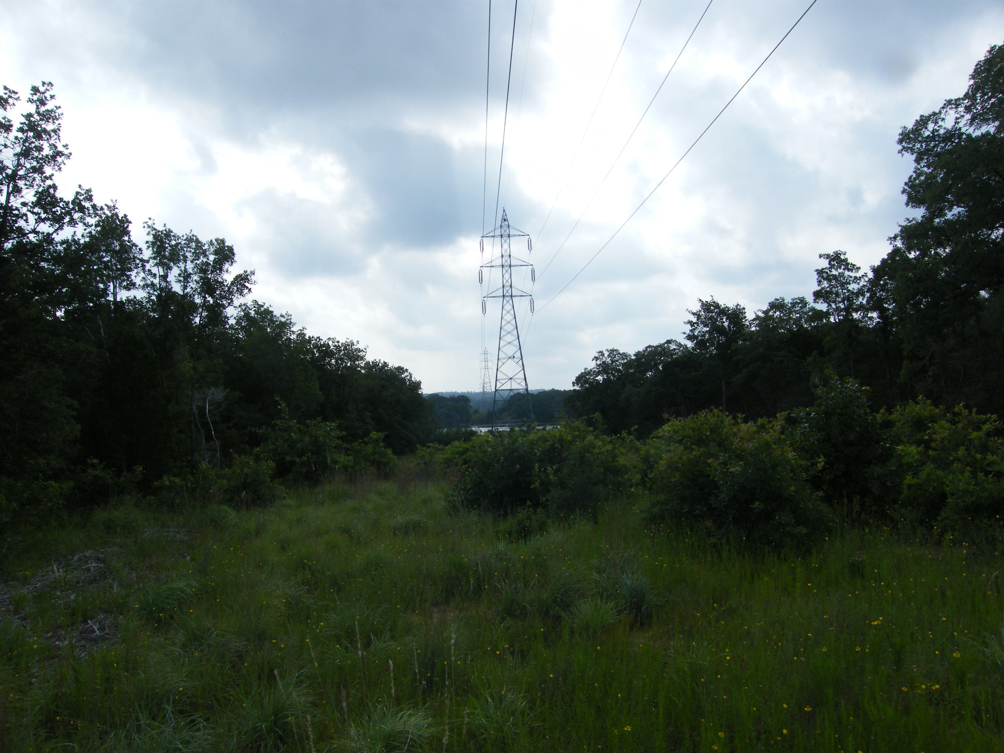 Open right-of-way None