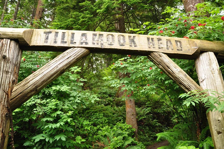 Oregon Coast Trailhead None