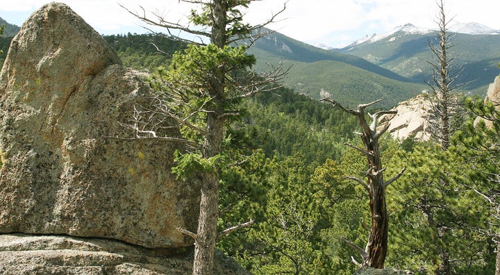 Outcropping None