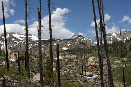 Ouzel Creek with view of Longs Peak None