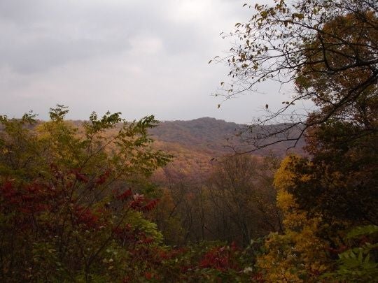 Overlook None