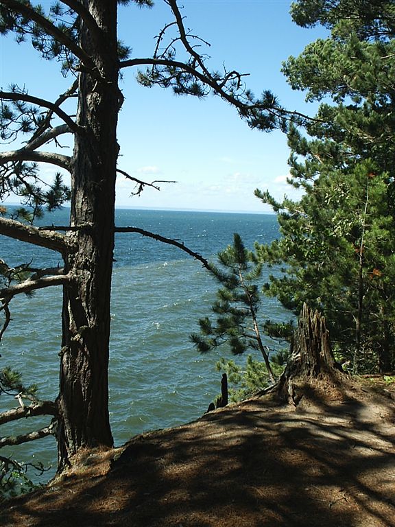 Overlook None